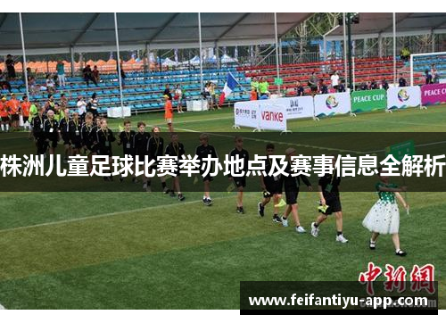 株洲儿童足球比赛举办地点及赛事信息全解析