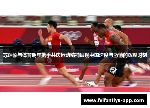 苏炳添与体育明星携手共庆运动精神展现中国速度与激情的辉煌时刻