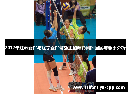 2017年江苏女排与辽宁女排激战正酣精彩瞬间回顾与赛季分析